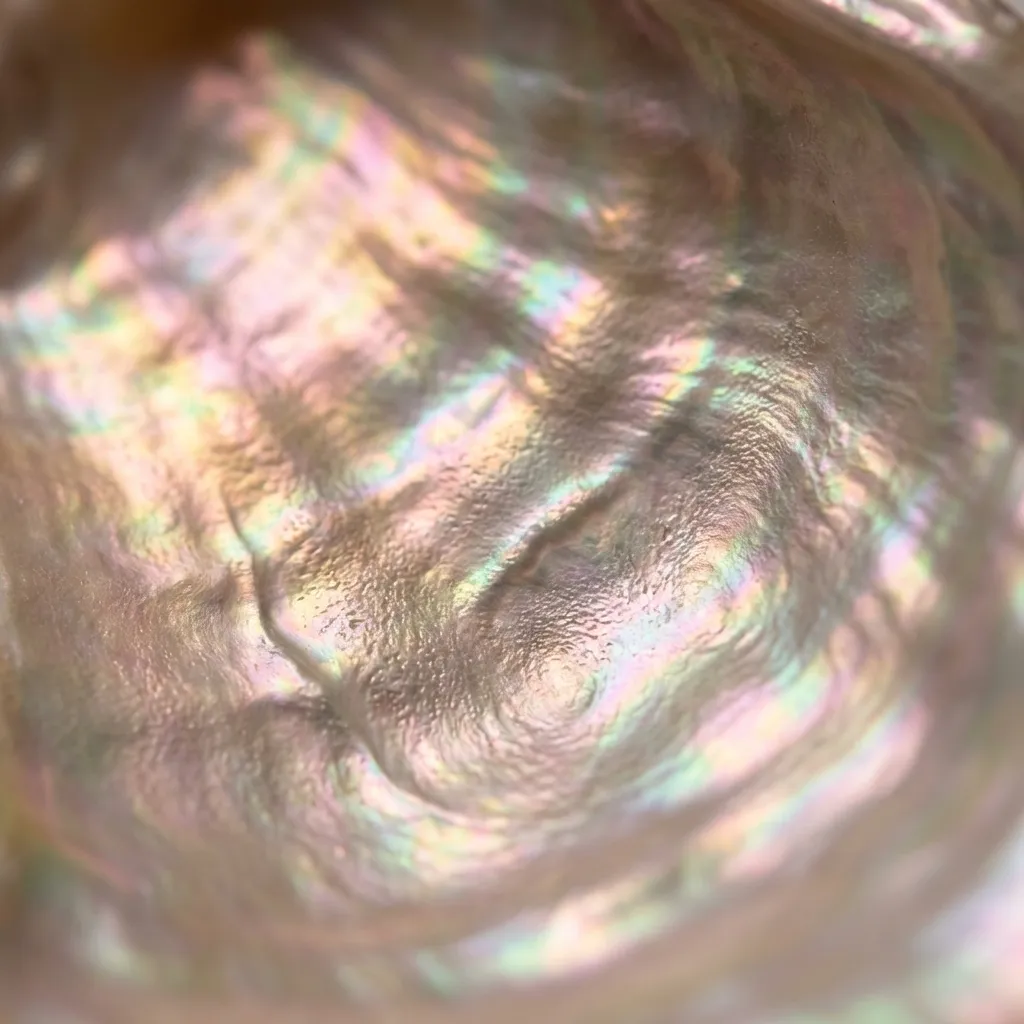 真珠層のような、虹色に輝く表面を捉えた魅惑的なマクロ写真です。クリームがかった白を基調に、光の当たり方で繊細なピンク、ラベンダー、グリーン、イエローなどの色が移ろい、幻想的な光沢を放っています。表面の微細な波打つような質感と有機的な溝が、この抽象的な美しさに深みと動きを与えています。